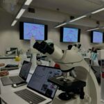 Centro de Investigação em Ciências e Tecnologias Estratégicas (CICTE)